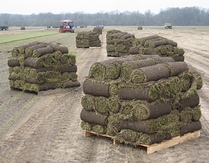 A wide selection of sod