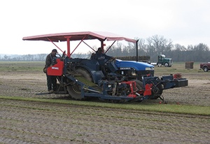 Professional-grade turf equipment